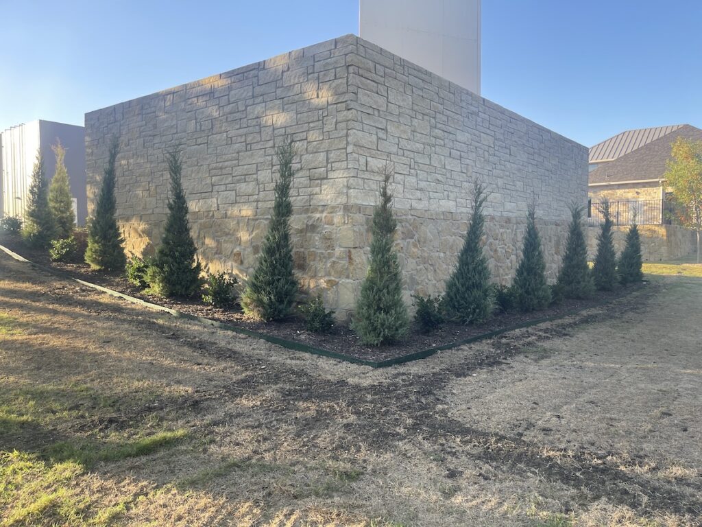 Stone wall with evergreen trees.